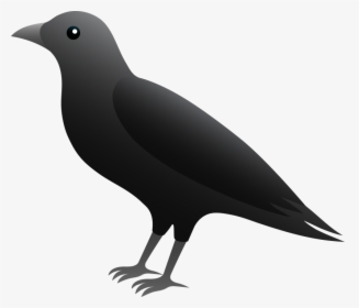 Crow Clip Art - Example Of A Scavenger, HD Png Download, Free Download