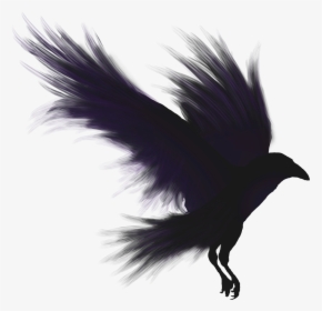 Crows Shadow Emblem - Crow Png, Transparent Png, Free Download