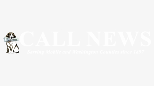 Call News - Vienna State Opera, HD Png Download, Free Download