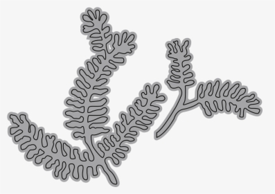 Garden Notes - Frosty Fern - Garden Notes Frosty Fern, HD Png Download, Free Download