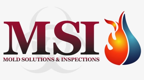 Mold Solutions & Inspections - Graphic Design, HD Png Download, Free Download