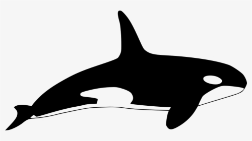 Orca - Killer Whale Icon, HD Png Download, Free Download