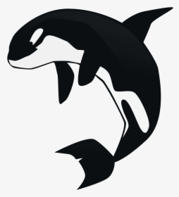 Orca Clipart Killer Whale - Killer Whale Clipart Transparent Background, HD Png Download, Free Download