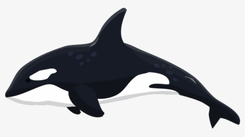 orca png images free transparent orca download kindpng orca png images free transparent orca