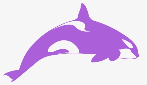 Sticker Orca Whale, HD Png Download, Free Download
