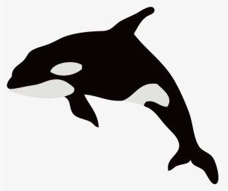 Dolphin Killer Whale Illustration Whales Silhouette - Killer Whale Illustration Png, Transparent Png, Free Download