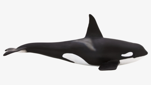 Orca Toy Png, Transparent Png, Free Download