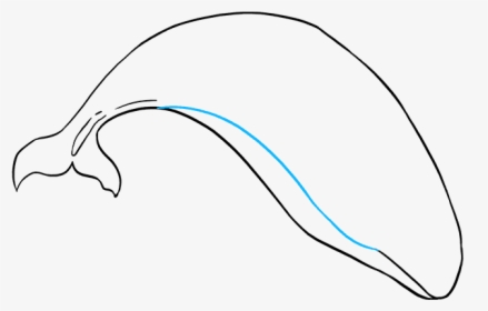 How To Draw Orca - Sketch, HD Png Download, Free Download
