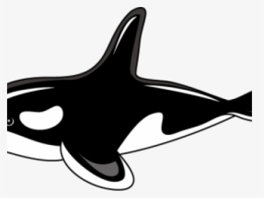 Killer Whale Clipart Png Transparent Png , Png Download - Clip Art Orca Whale, Png Download, Free Download