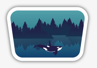 Underwater Orca Sticker - Killer Whale, HD Png Download, Free Download