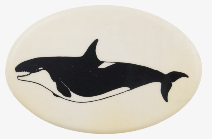 Orca Whale 2 Art Button Museum - Killer Whale, HD Png Download, Free Download