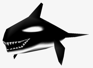 Download Zip Archive - Killer Whale, HD Png Download, Free Download
