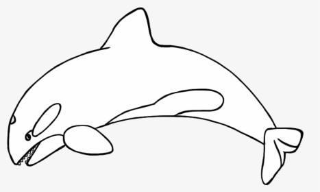Orca Clipart Free Images - Black And White Blue Whale Outline Clipart, HD Png Download, Free Download