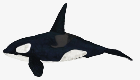 Download Zip Archive - Zoo Tycoon 2 Orca Model, HD Png Download, Free Download
