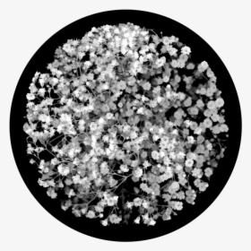 Transparent Glass Break Png - Artificial Flower, Png Download, Free Download
