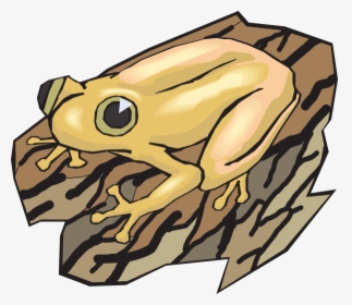 Transparent Frog Clipart Png - Wood Frog Clipart, Png Download, Free Download