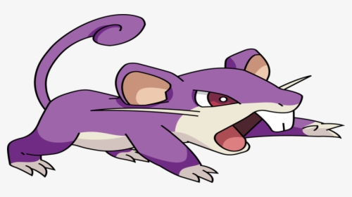 Transparent Raticate Png, Png Download, Free Download