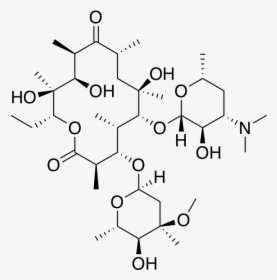 Erythromycin A Featuring Complete Stereochemistry - Erythromycin Propionate, HD Png Download, Free Download