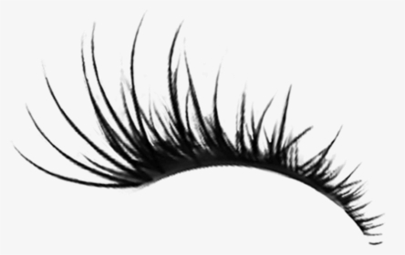 #eyelash #eyelashes #eyelashsticker #makeup #beauty - Transparent Eyelashes Png, Png Download, Free Download