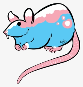 Trans Rat, HD Png Download, Free Download