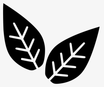 Leaves Plant Biology - Transparent Biology Icon Png, Png Download, Free Download