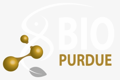 Purdue Biological Sciences Logo, HD Png Download, Free Download