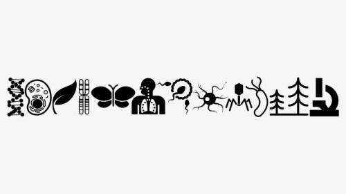 Biology Silhouette, HD Png Download, Free Download