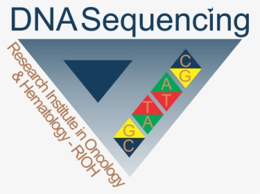 Dna   Sequencing - Never Get Jealous When You, HD Png Download, Free Download
