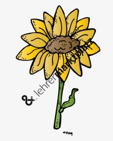 Biology Clipart , Png Download - Sunflower, Transparent Png, Free Download