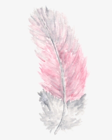 Transparent Watercolor Feather, HD Png Download, Free Download