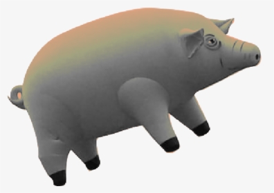 Transparent Pink Floyd Pig, HD Png Download, Free Download