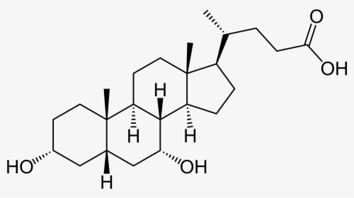 File Chenodeoxycholic Wikimedia Commons Transparent - Chenodeoxycholic Acid Structure, HD Png Download, Free Download