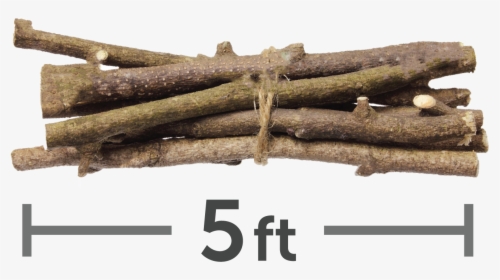5 Ft Limbs - Bunch Of Sticks, HD Png Download, Free Download