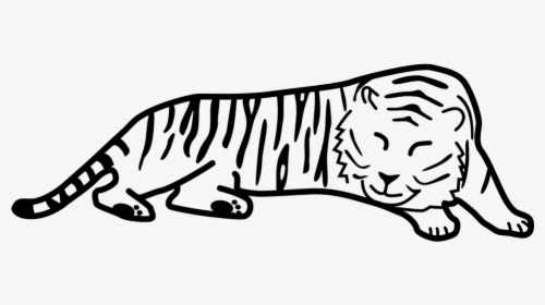 Tiger, Sleeping, Black And White, Stripes, Taking Rest, HD Png Download, Free Download