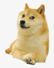 Doge Full Smiling, HD Png Download, Free Download