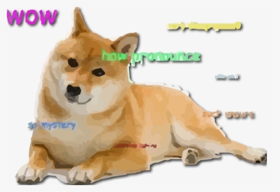 2000 Doge 2000 Dogecoin Doge Crypto Mining Contract, HD Png Download, Free Download