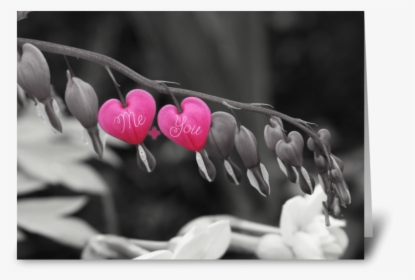 Bleeding Hearts Greeting Card, HD Png Download, Free Download