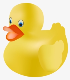 Rubber Duck Clip Art, HD Png Download, Free Download