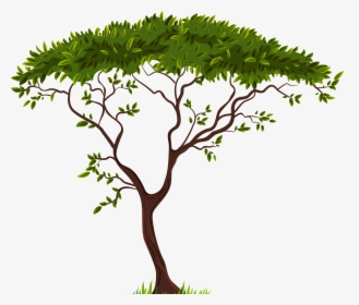 Tree Clipart Png, Transparent Png, Free Download