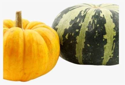 Pumpkins Png Image, Transparent Png, Free Download