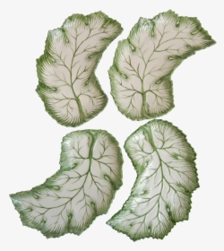 Clip Art Lettuce Leaf Plates, HD Png Download, Free Download