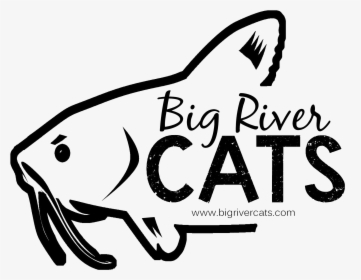 Big River Cats Looks To Make A Splash, HD Png Download, Free Download