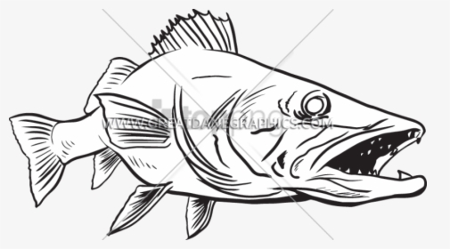 Catfish, HD Png Download, Free Download