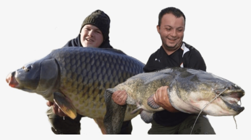 Bounty Lakes Carp And Catfishing, HD Png Download, Free Download