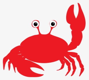 Crabs Are Known For Their Hard Outer Shells But Soft, HD Png Download, Free Download