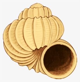 Twisting Conch Shell Vector Clipart Image, HD Png Download, Free Download