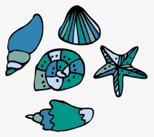 Transparent Sea Shells Png, Png Download, Free Download