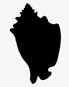 A Conch To Represent Shells, HD Png Download, Free Download