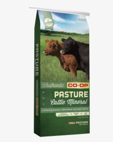 Cows Png, Transparent Png, Free Download