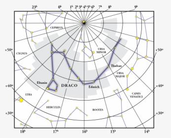 Draco Png, Transparent Png, Free Download